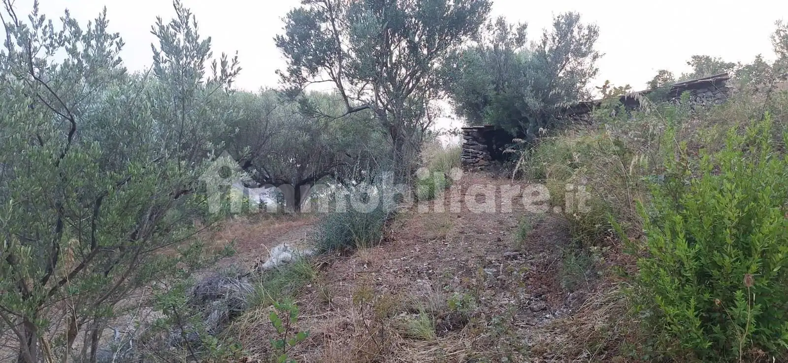Casa colonica via Monte di Luna, Monte Di Luna, Camerota - foto 5