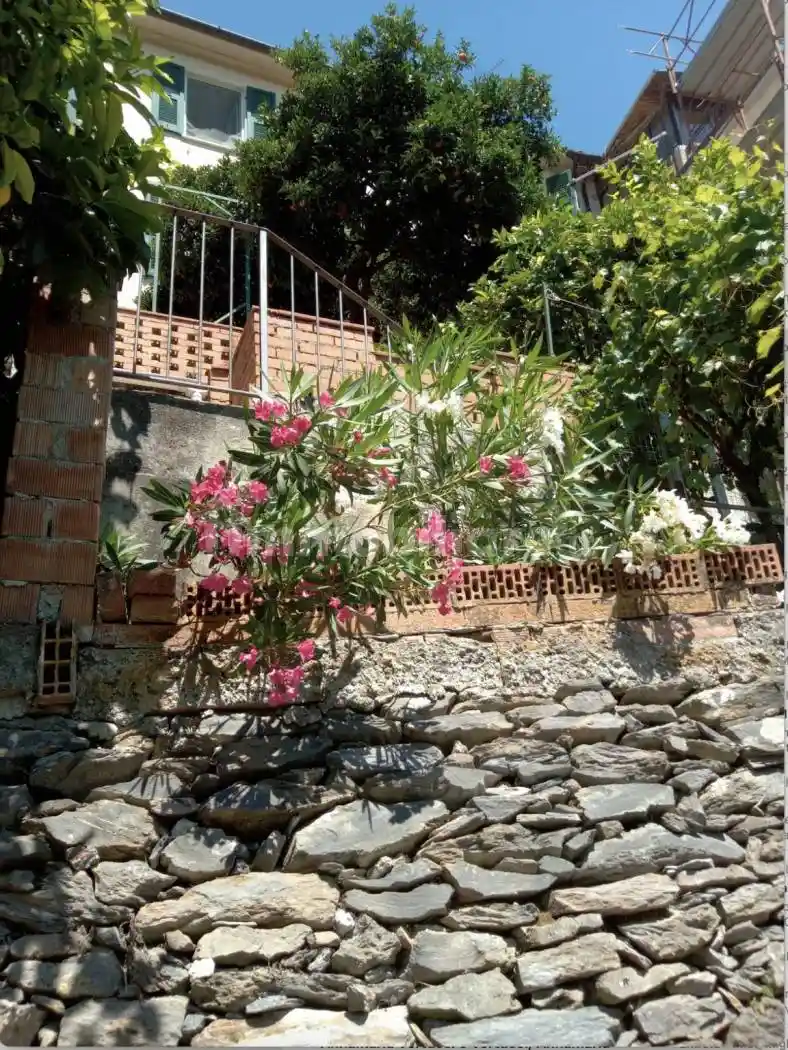 Villa in vendita a Ameglia