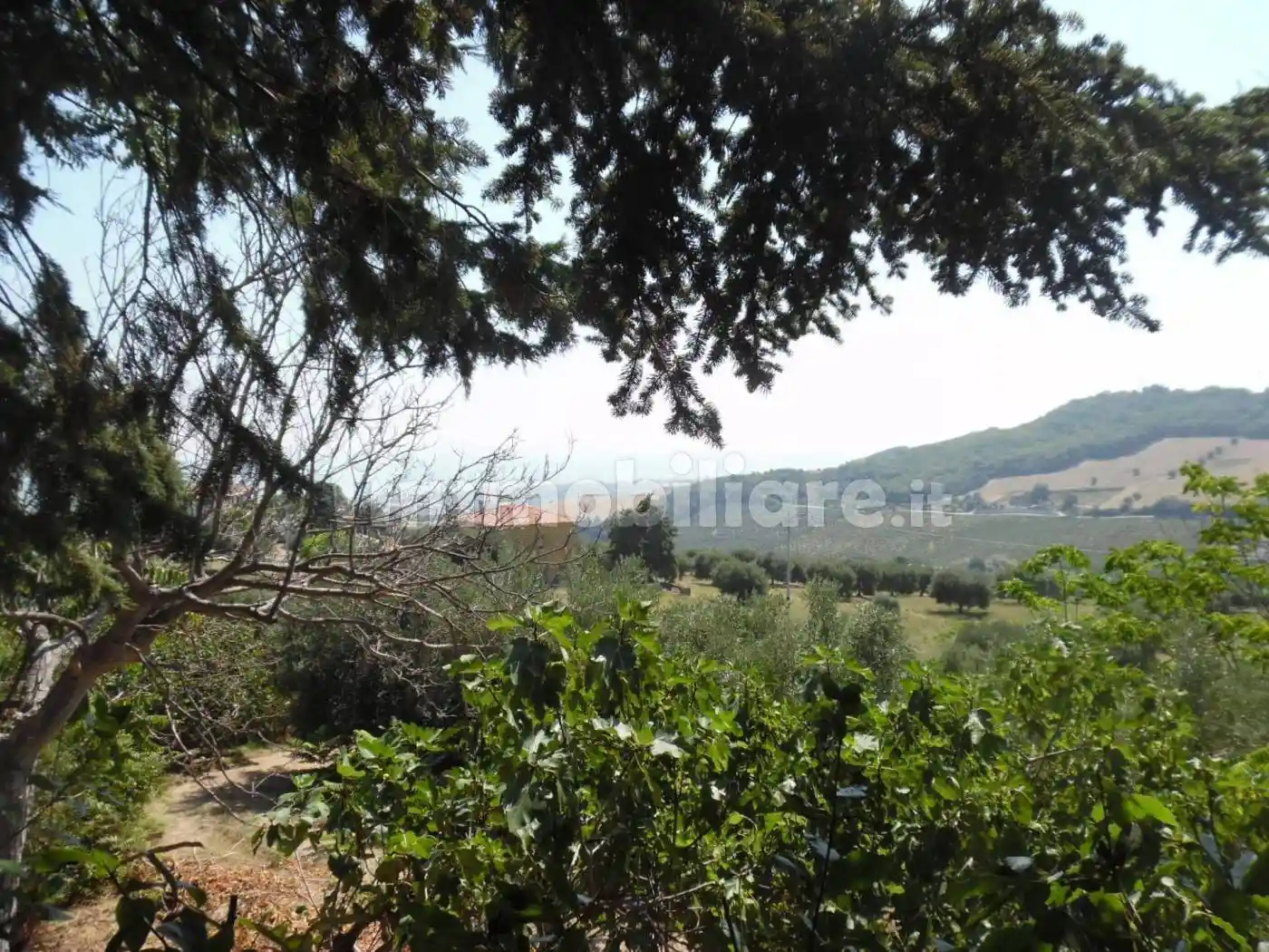 Rustico Contrada giardino 24, Colonnella - foto 3