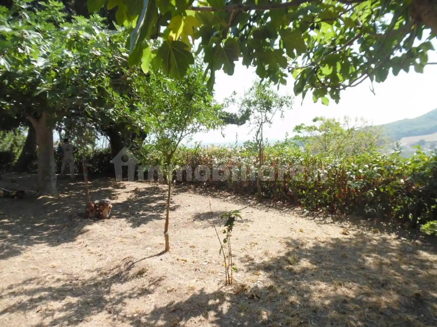 Rustico Contrada giardino 24, Colonnella - foto 4