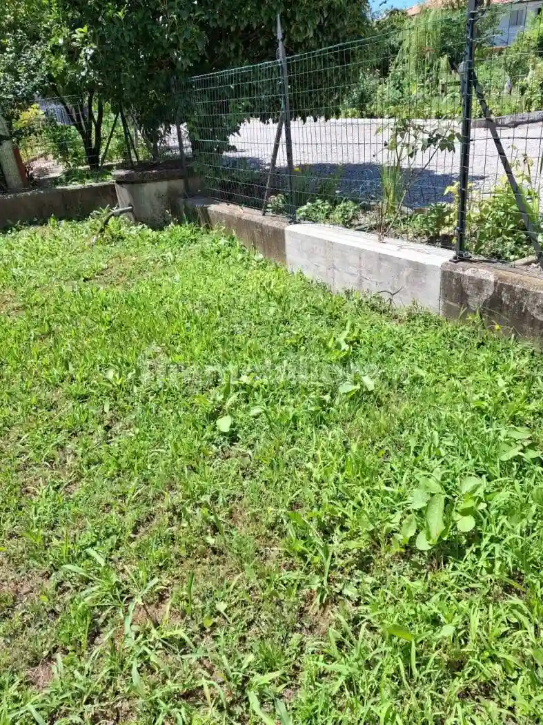 Casa colonica via Giannino Ancilotto 16, Centro, Codognè - foto 4