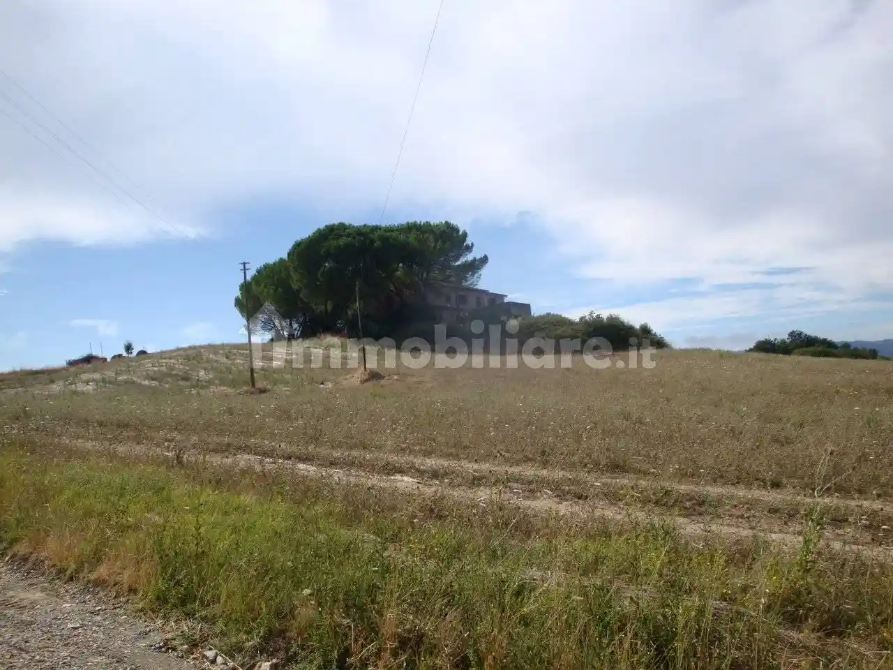 Rustico - Casale in vendita a Bibbona
