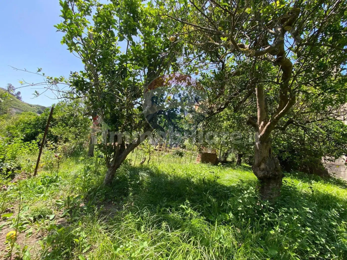 Terratetto unifamiliare via roma, Condrò - foto 3