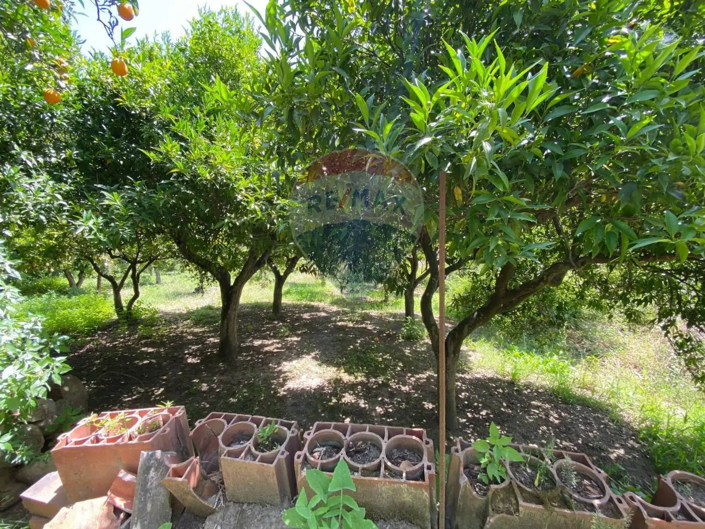 Terratetto unifamiliare via roma, Condrò - foto 4