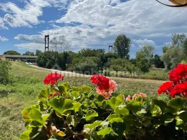 Appartamento in vendita a Pisa