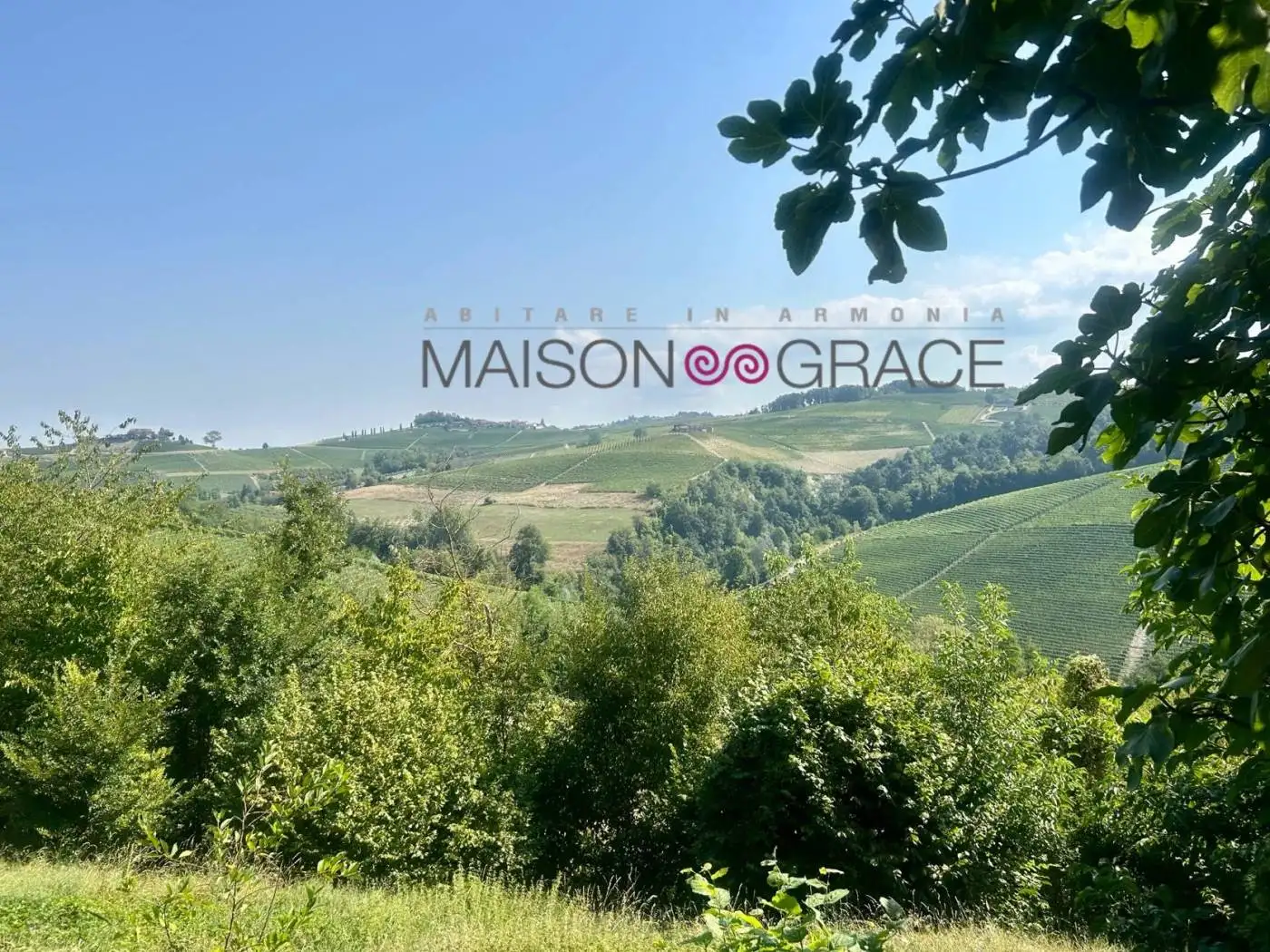 Rustico - Casale in vendita a Monforte d'Alba