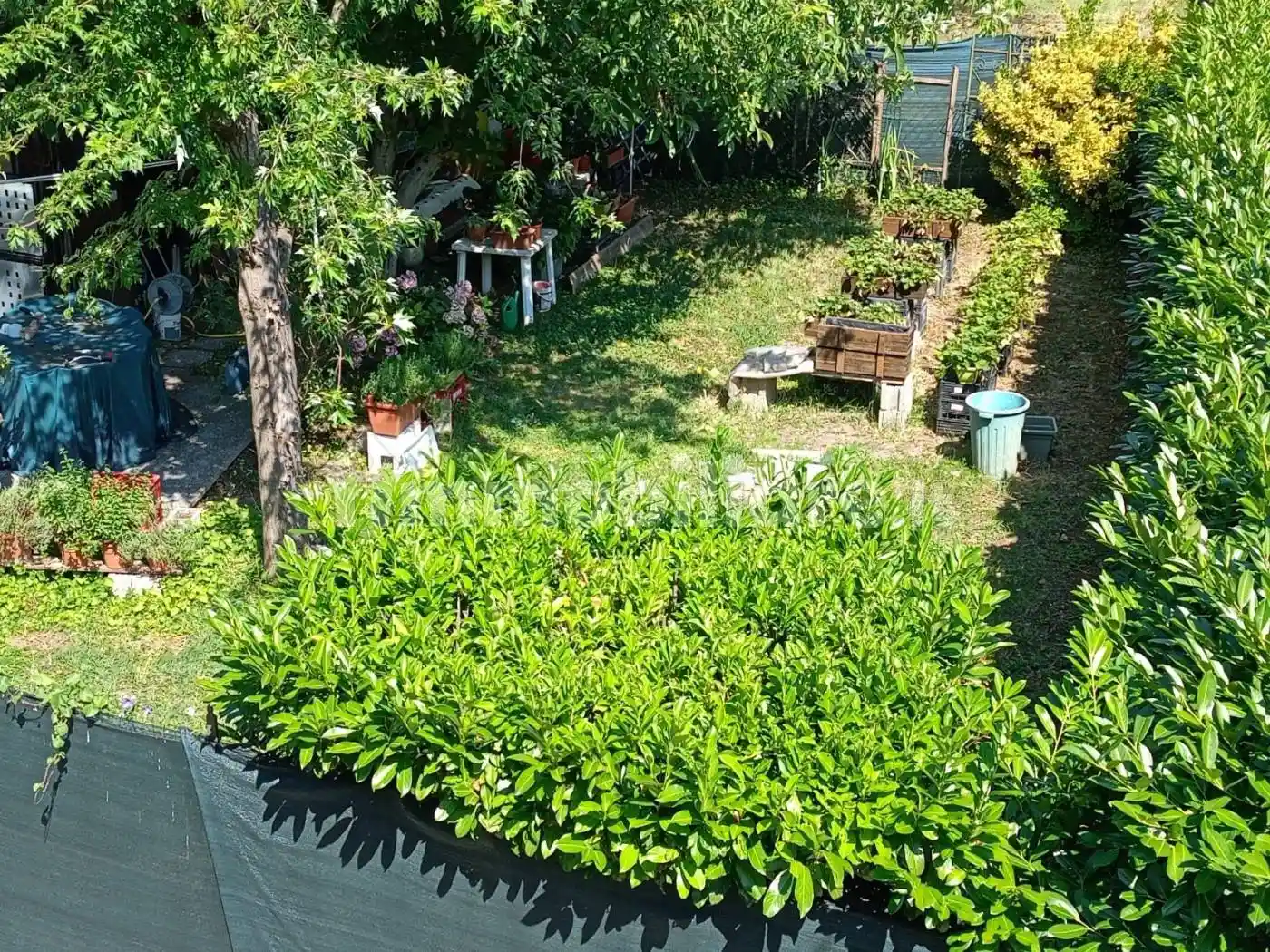 Villa bifamiliare via Lorenzo Rocci, I Vaccari, Piacenza - foto 4