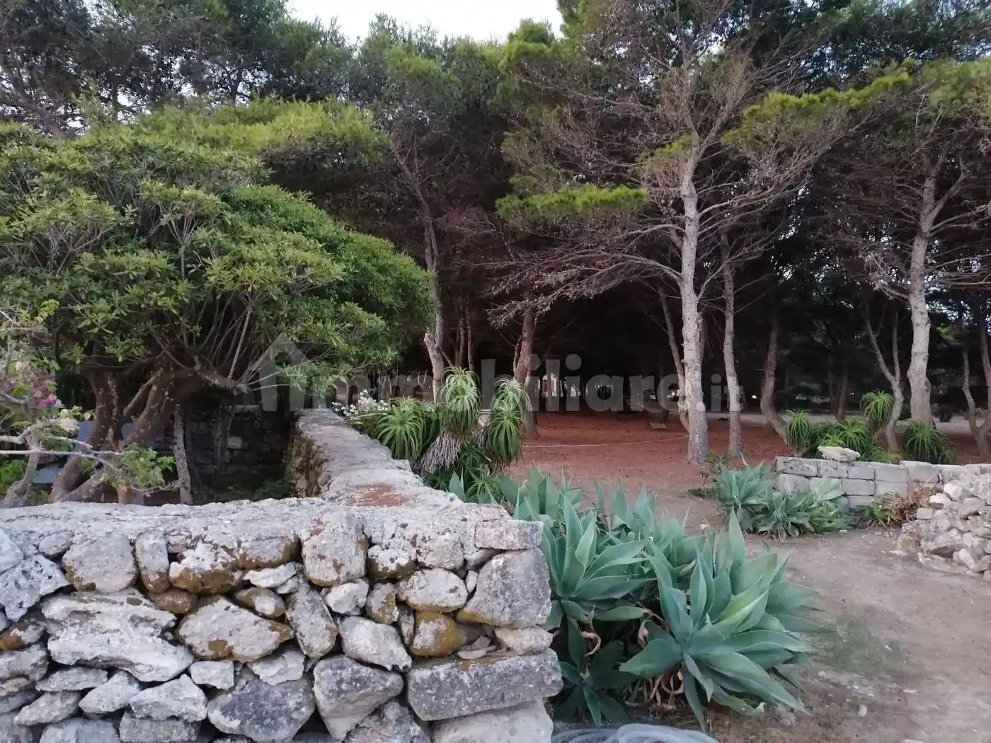 Villa in affitto a Favignana