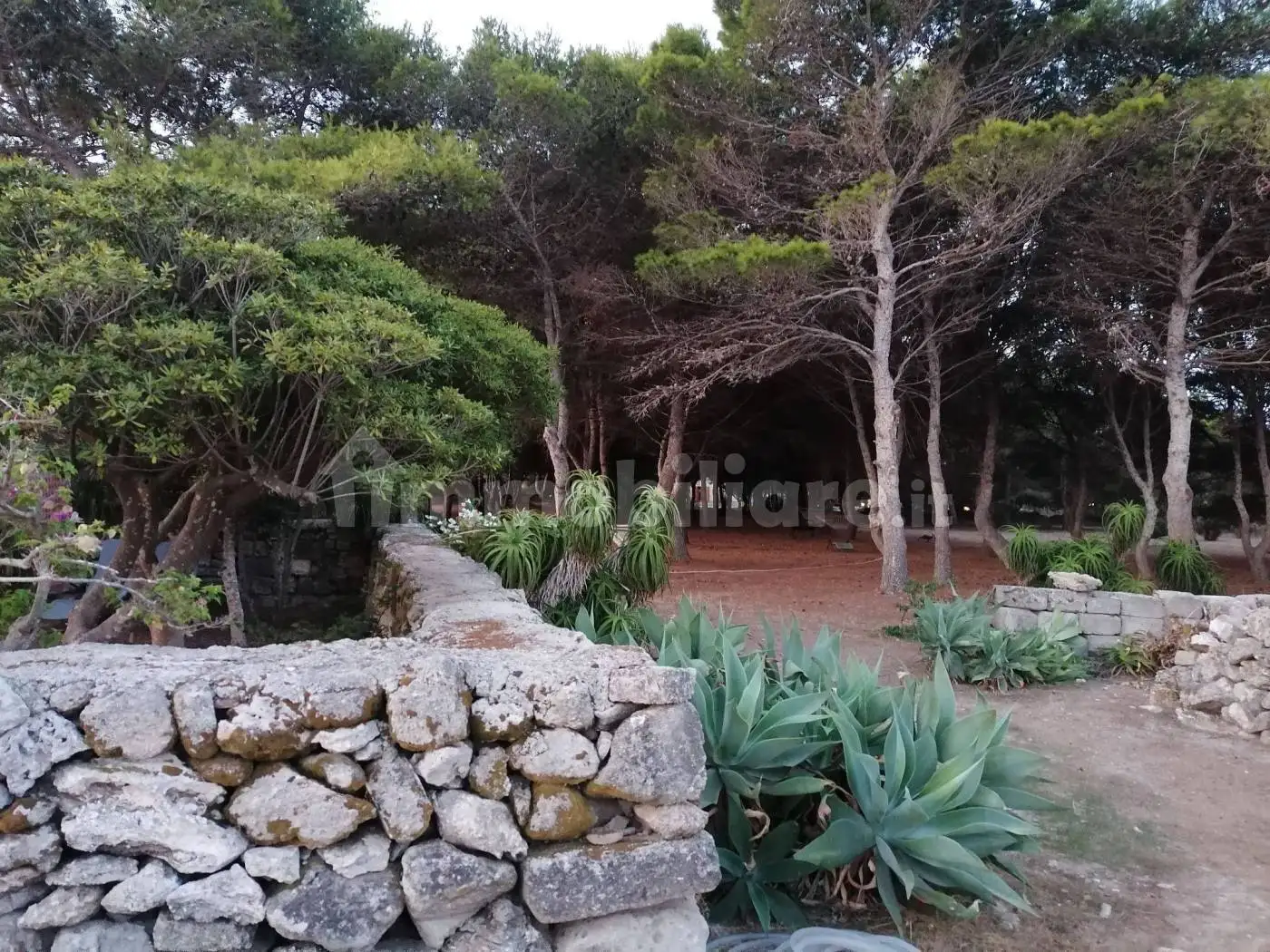 Villa in affitto a Favignana