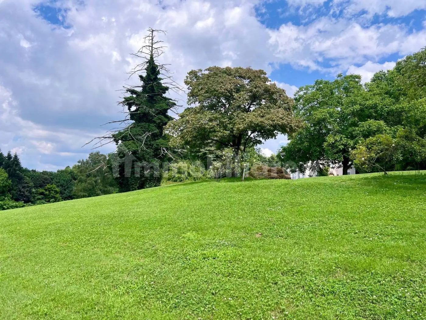 Appartamento in affitto a Travedona-Monate