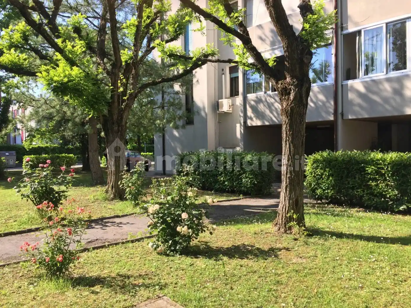 Appartamento in vendita a Massa Lombarda