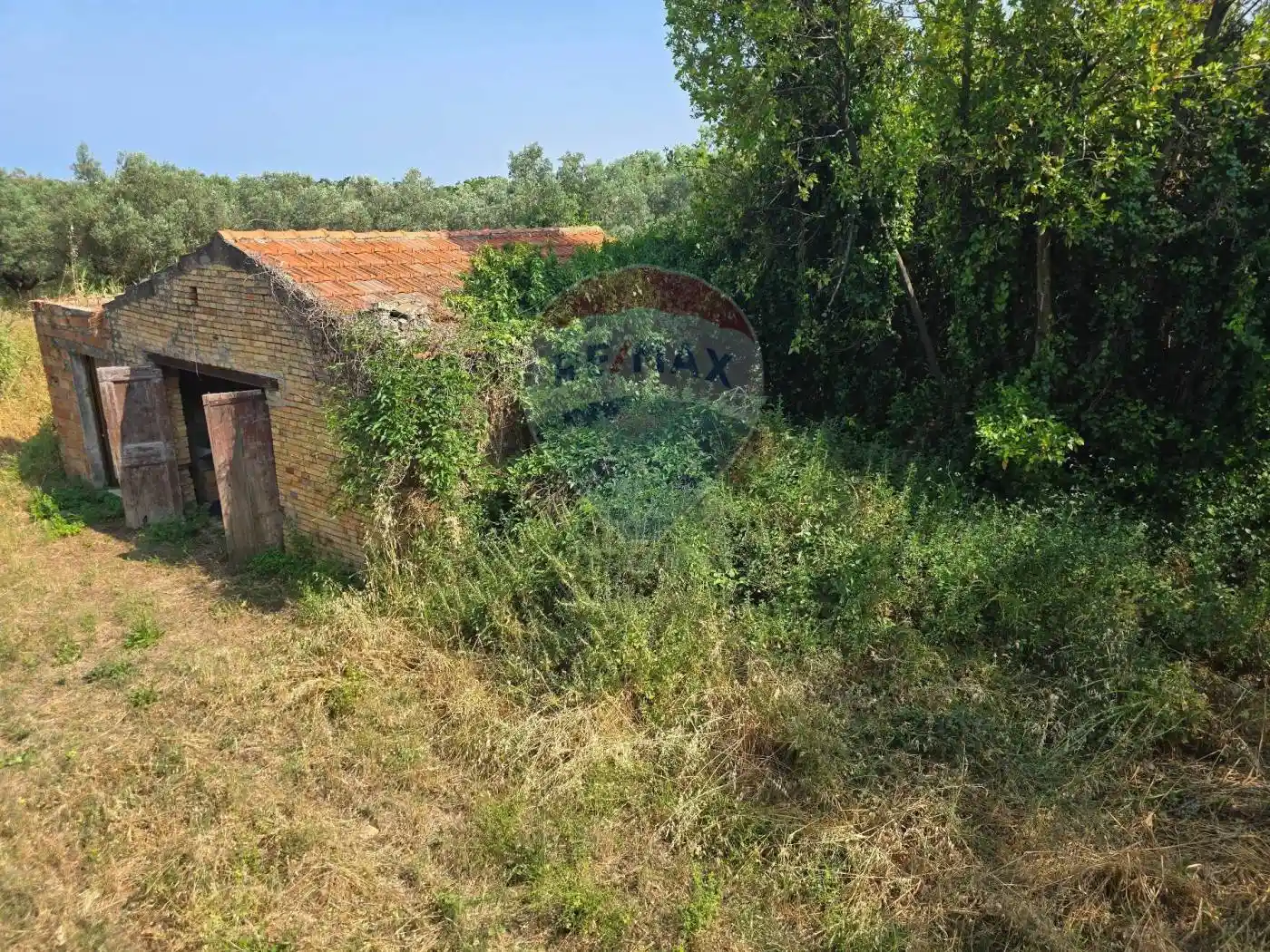 Rustico Contrada Piana Sabelli 1, Casalbordino - foto 2