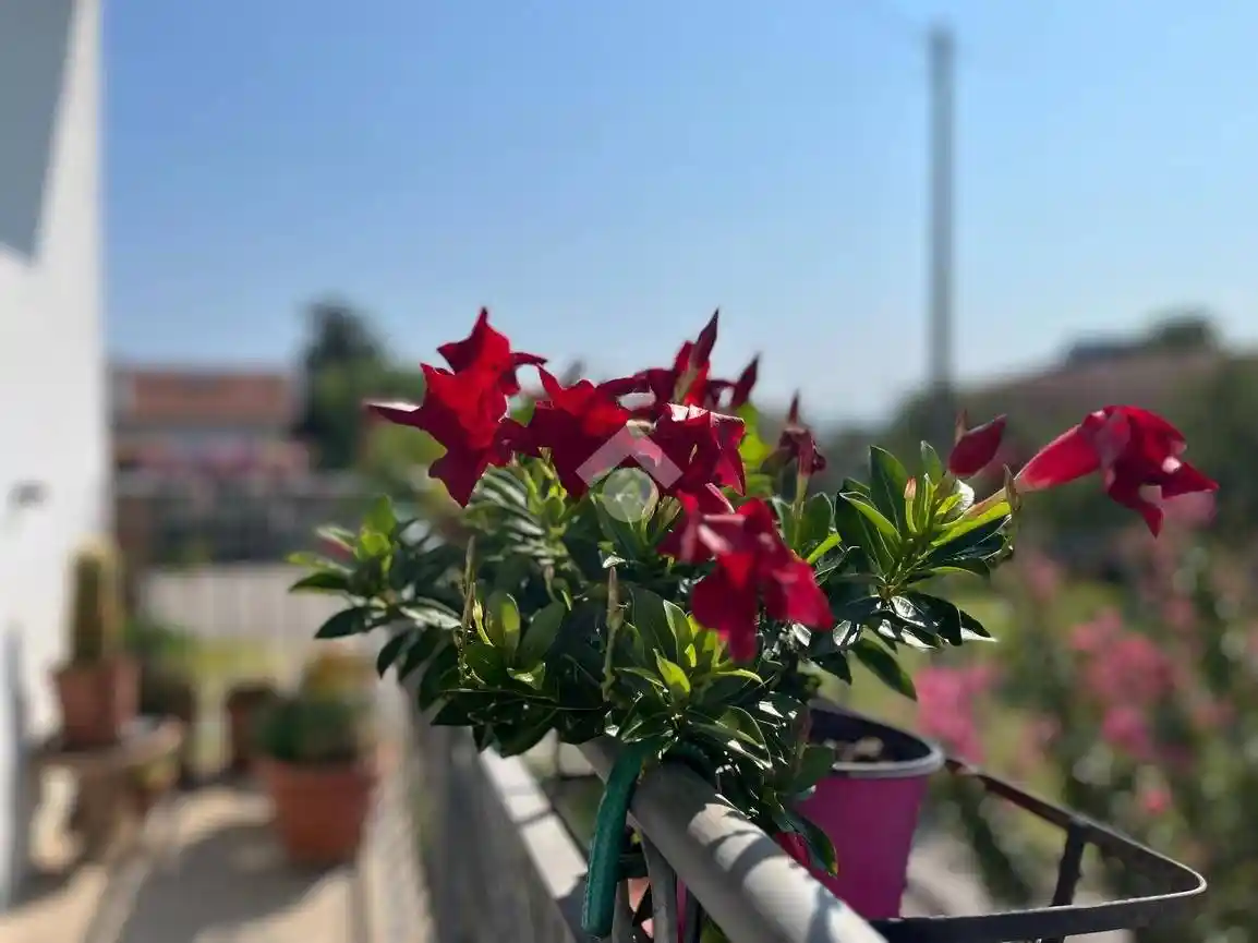 Villa bifamiliare via Tricesimo 171, Vat - Paderno, Udine - foto 4