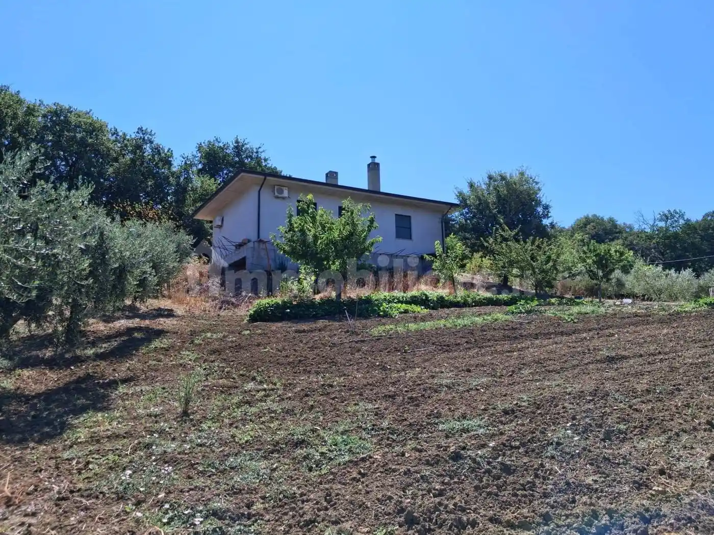 Rustico - Casale in vendita a Petacciato