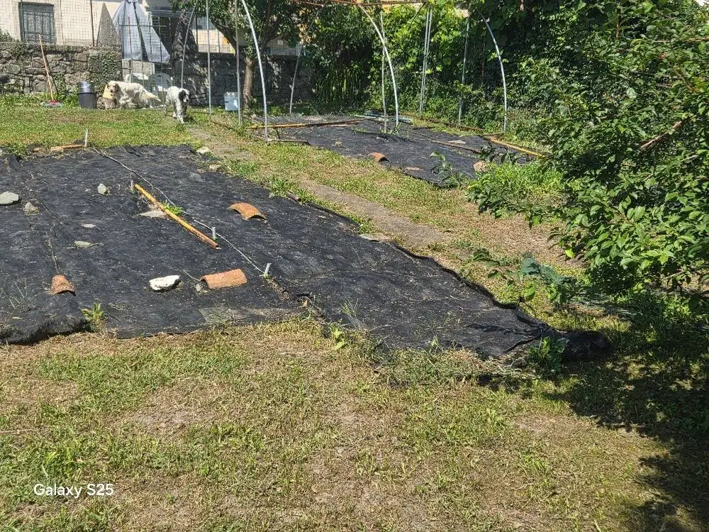 Casale, da ristrutturare, 268 m², Dossena - foto 5