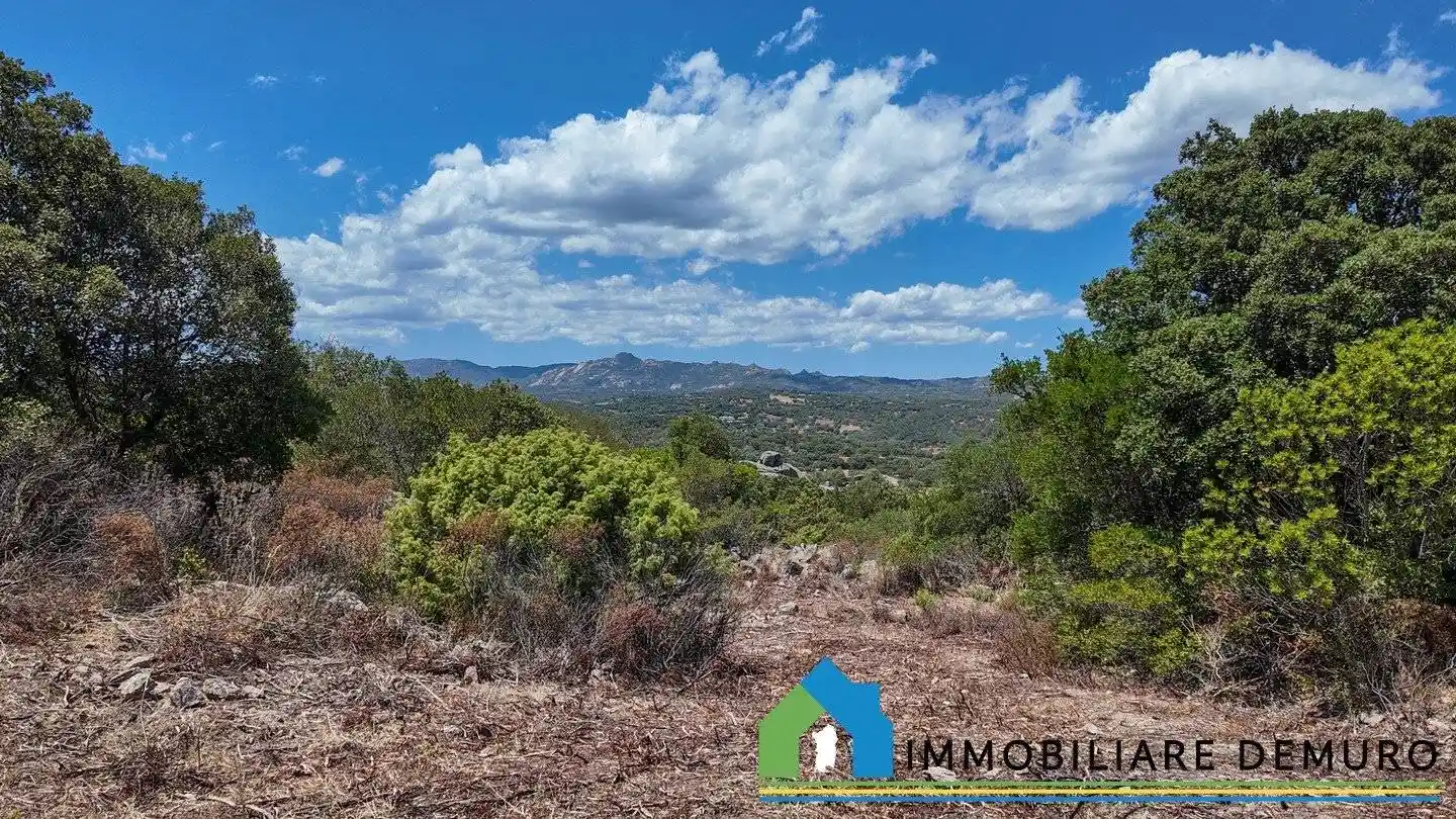 Casale Ss127, Mannazzu, Putzolu, Olbia - foto 3