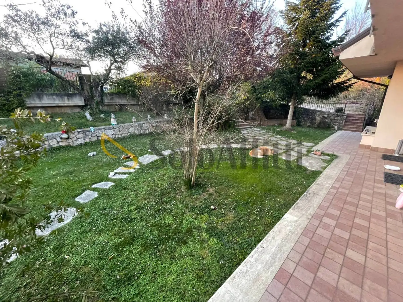 Appartamento in affitto a Frosinone