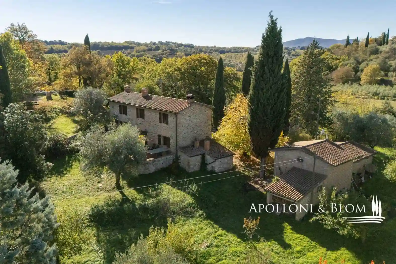 Rustico - Casale - foto 5
