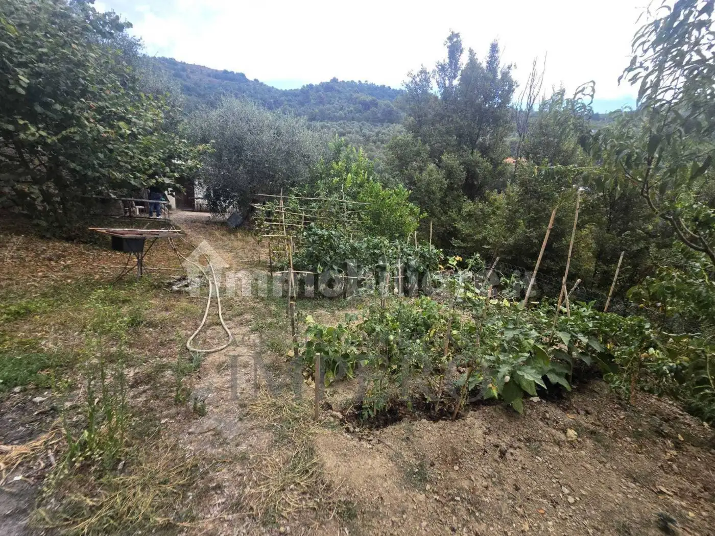 Rustico - Casale in vendita a Dolceacqua