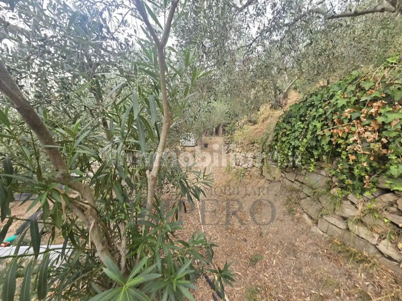 Rustico San Gregorio, Dolceacqua - foto 4