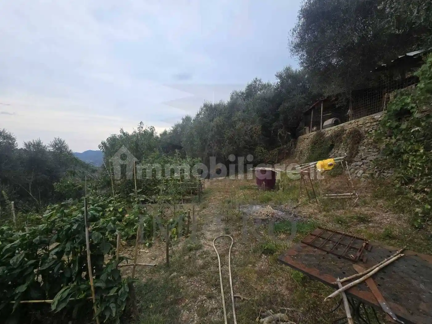 Rustico San Gregorio, Dolceacqua - foto 5