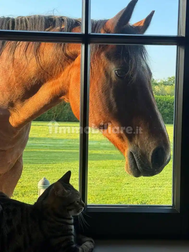 Villa in vendita a Cantello