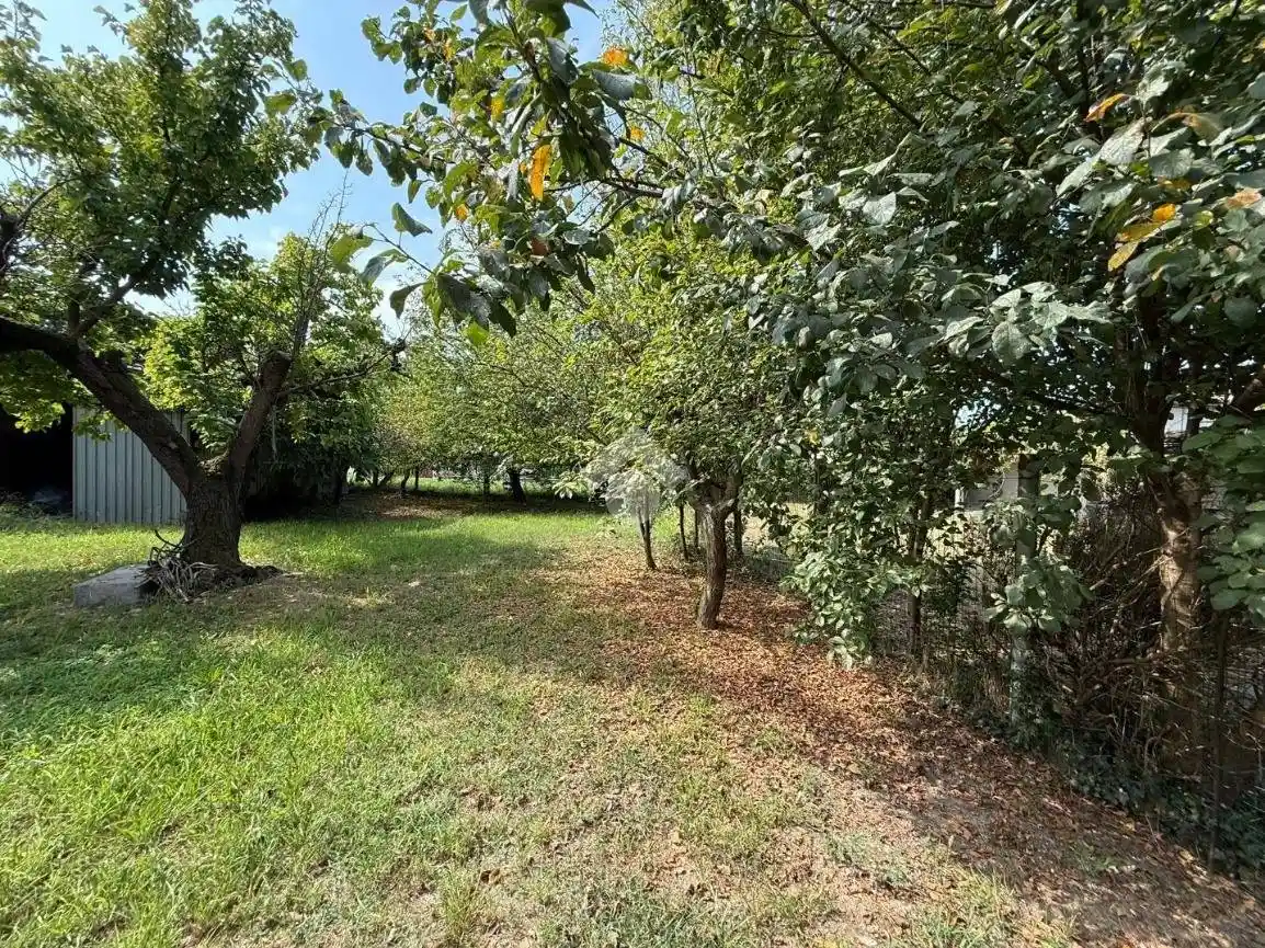 Rustico via Bacinetta 13, Ammonite, Ravenna - foto 5