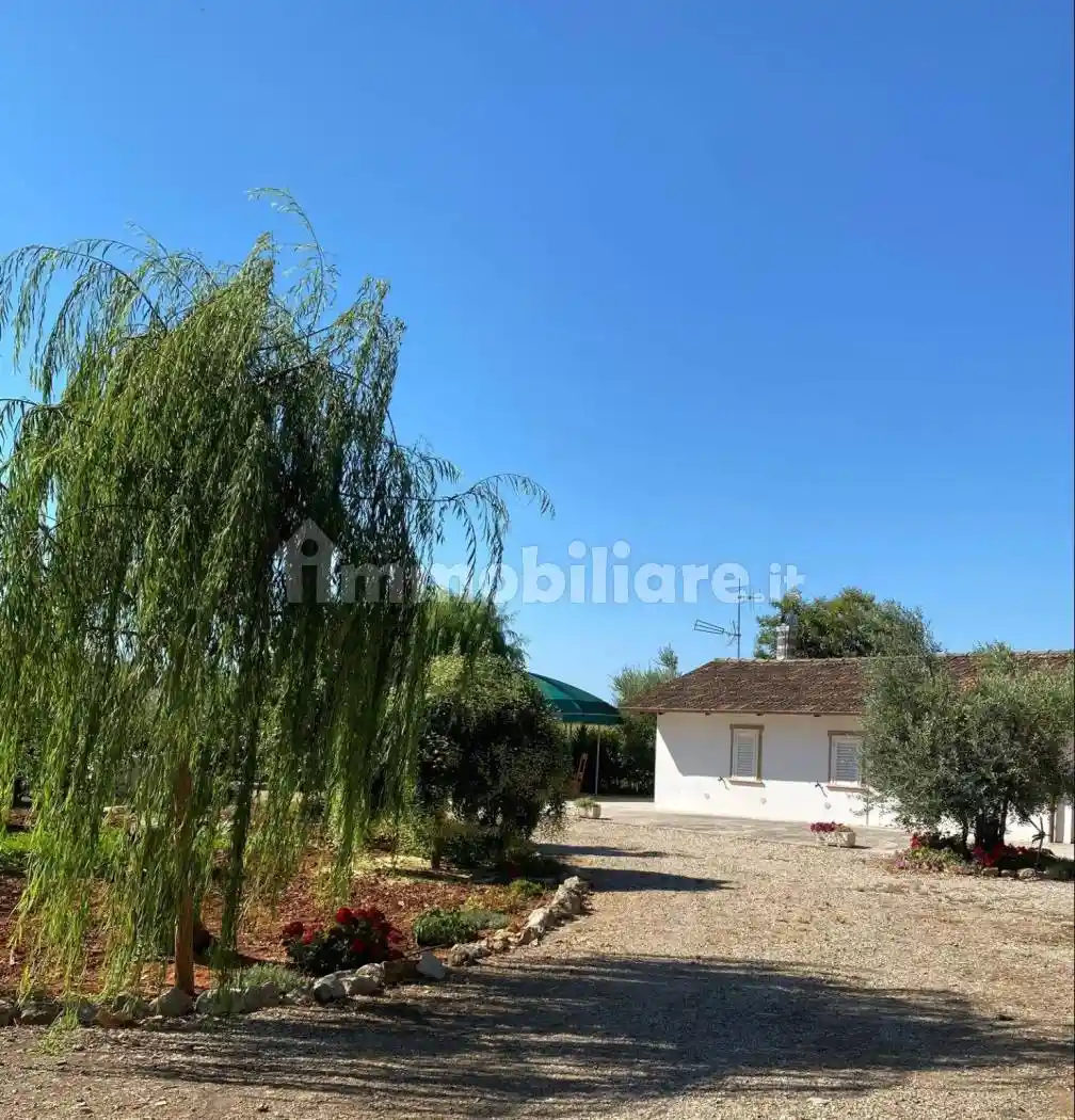 Rustico - Casale in vendita a Monte San Biagio