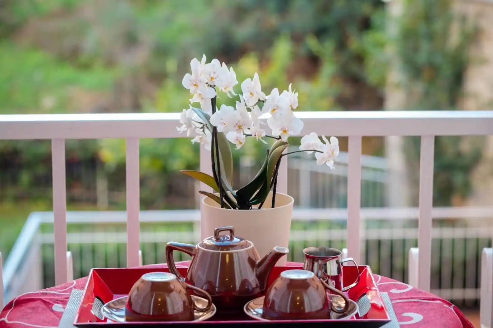 Appartamento in vendita a Bordighera