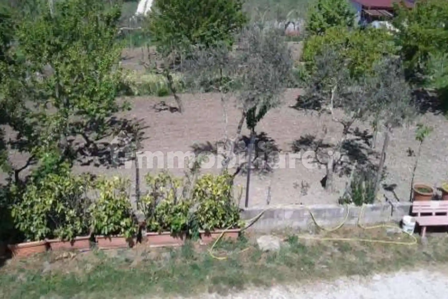 Palazzo - Stabile - foto 4