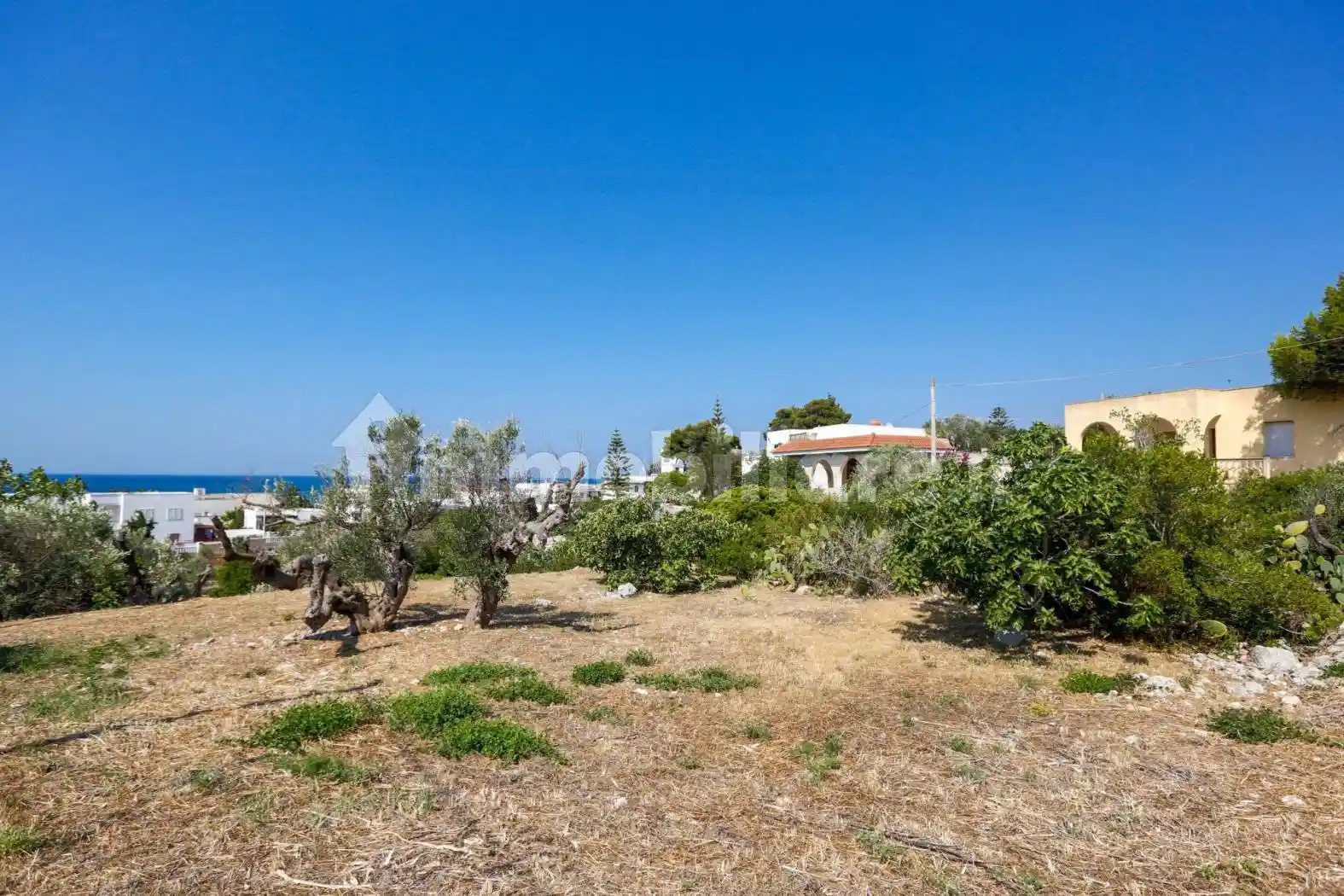 Villa in vendita a Morciano di Leuca