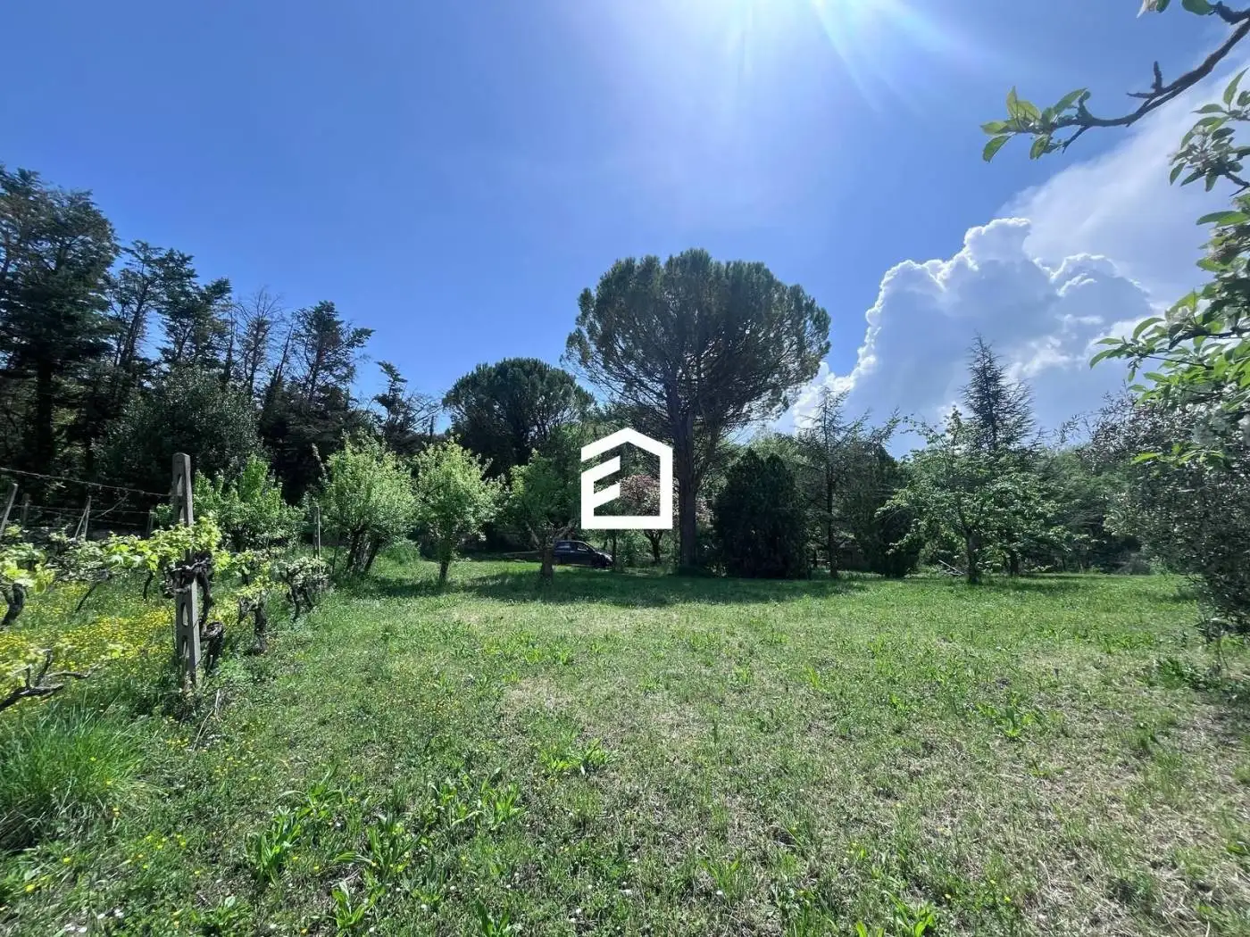 Rustico - Casale in vendita a Penna in Teverina