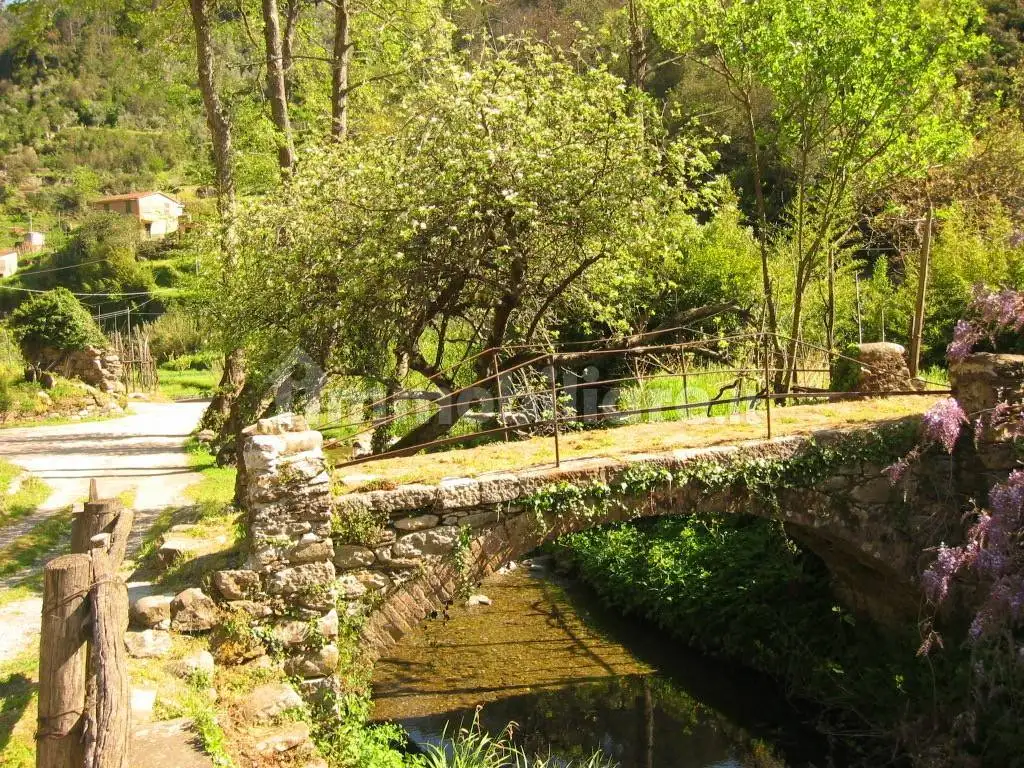 Rustico - Casale in vendita a Ne