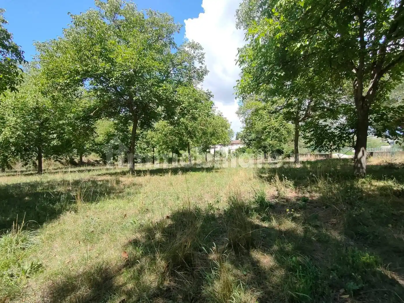 Casale, da ristrutturare, 400 m², Sant'Elia - Bazzano, L'Aquila - foto 3