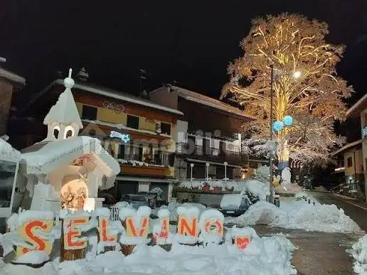 Appartamento in affitto a Selvino