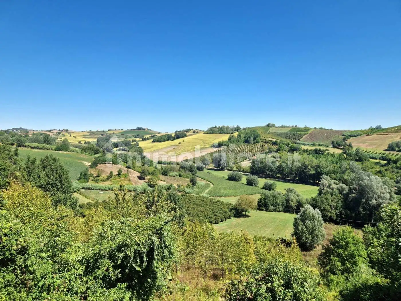 Rustico - Casale in vendita a Scurzolengo