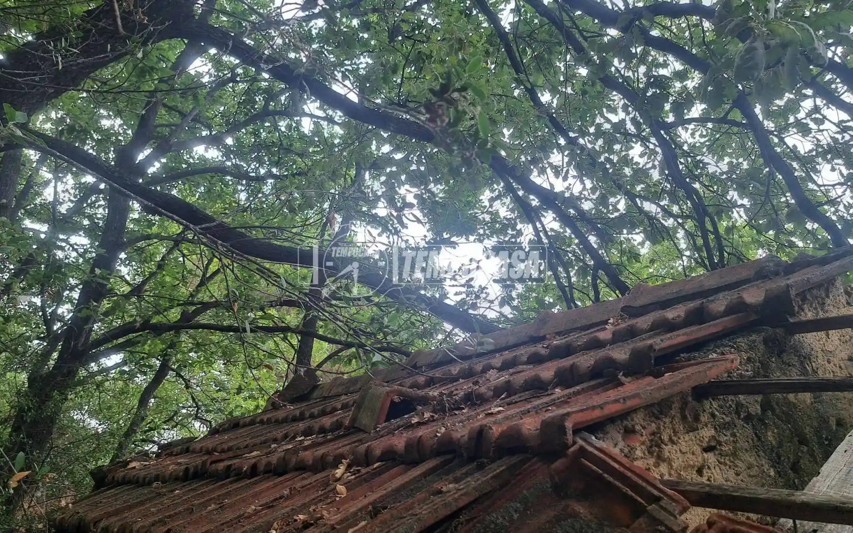 Rustico - Casale in vendita a Sanremo