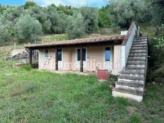 Rustico - Casale - foto 4
