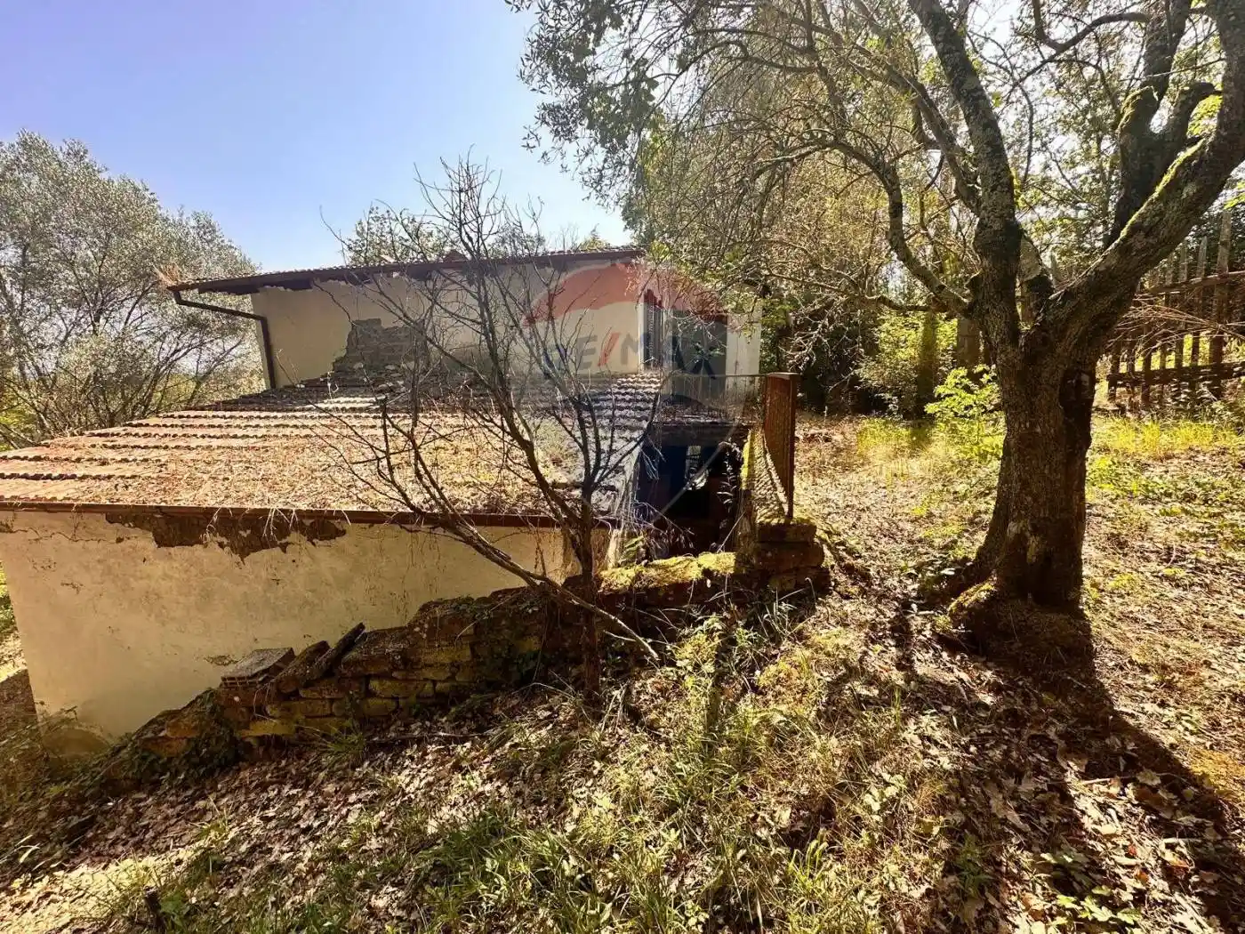 Terratetto unifamiliare Località Santa  Maria snc, Centro, Civitella d'Agliano - foto 4