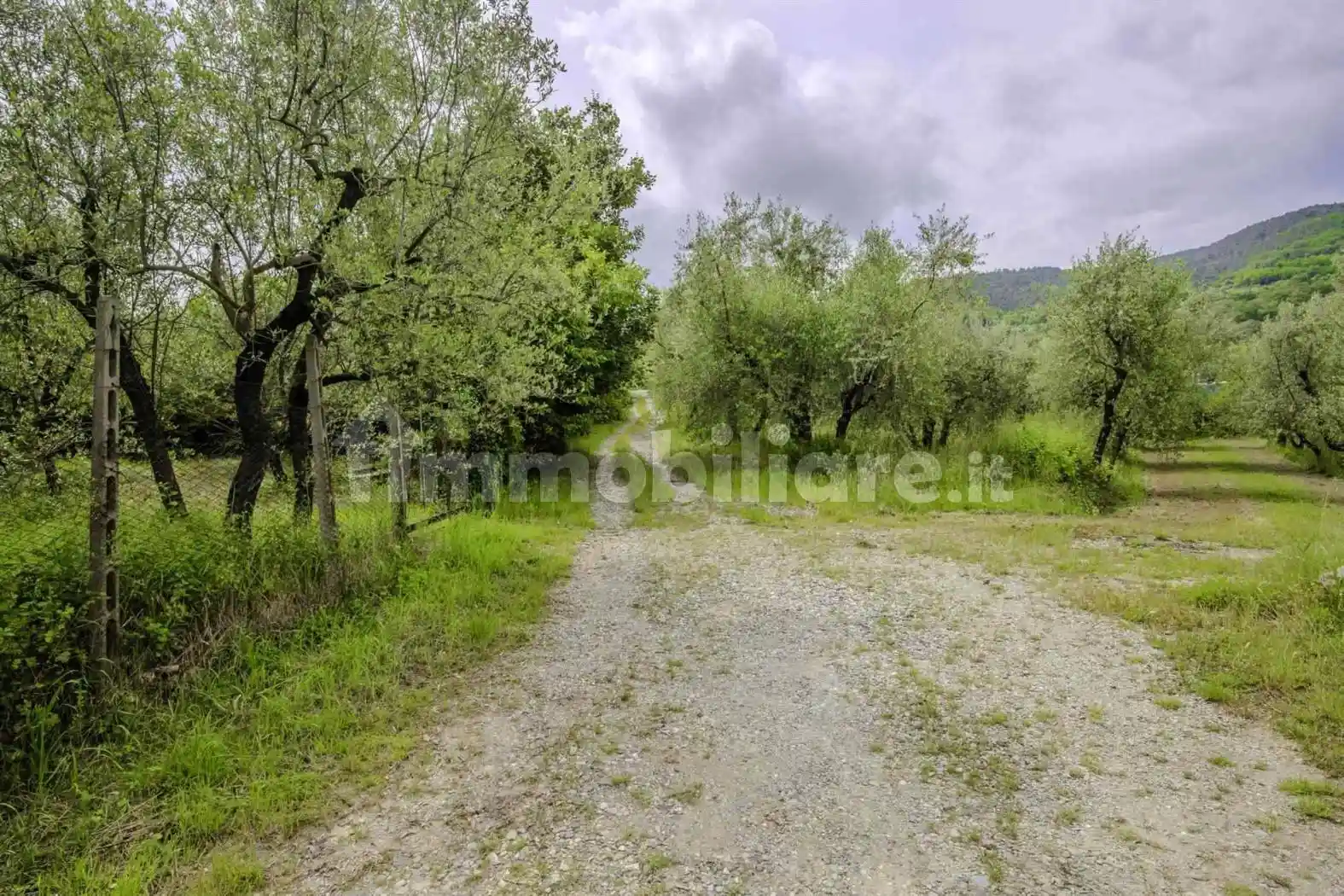 Casa colonica via Vecchia Aretina, L'Apparita Monte Pilli, Bagno a Ripoli - foto 4