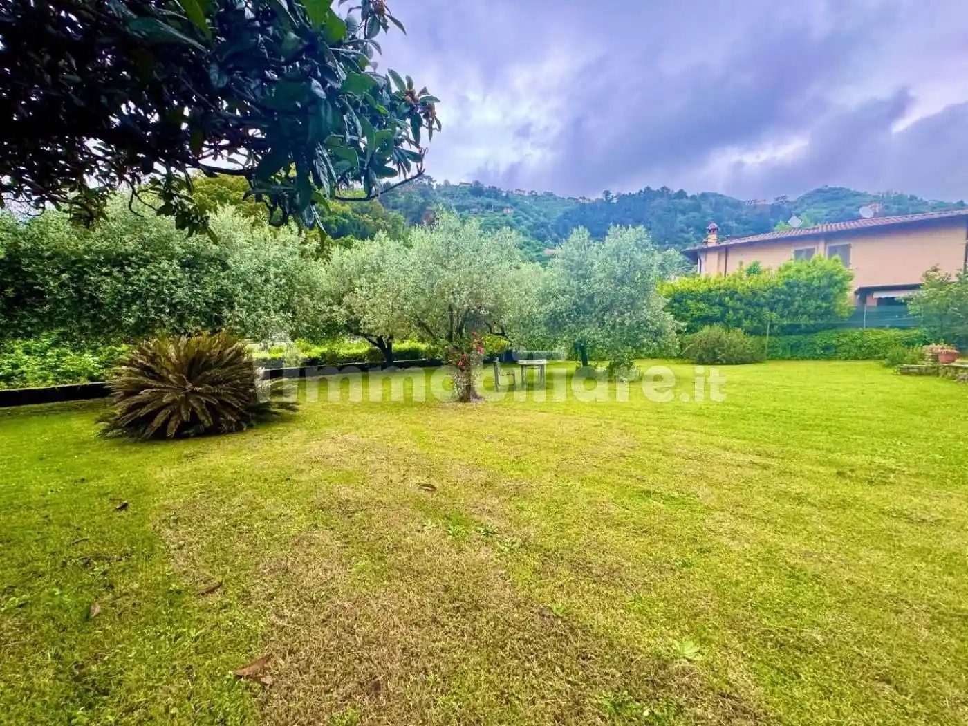 Villa a schiera 5 locali, buono stato, Zona Collinare Palatina, Montignoso - foto 3