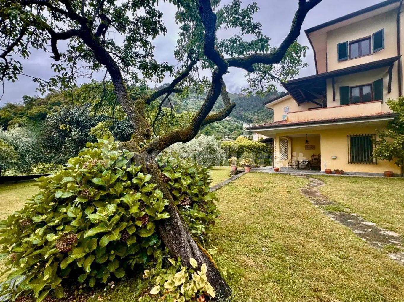 Villa in vendita a Montignoso