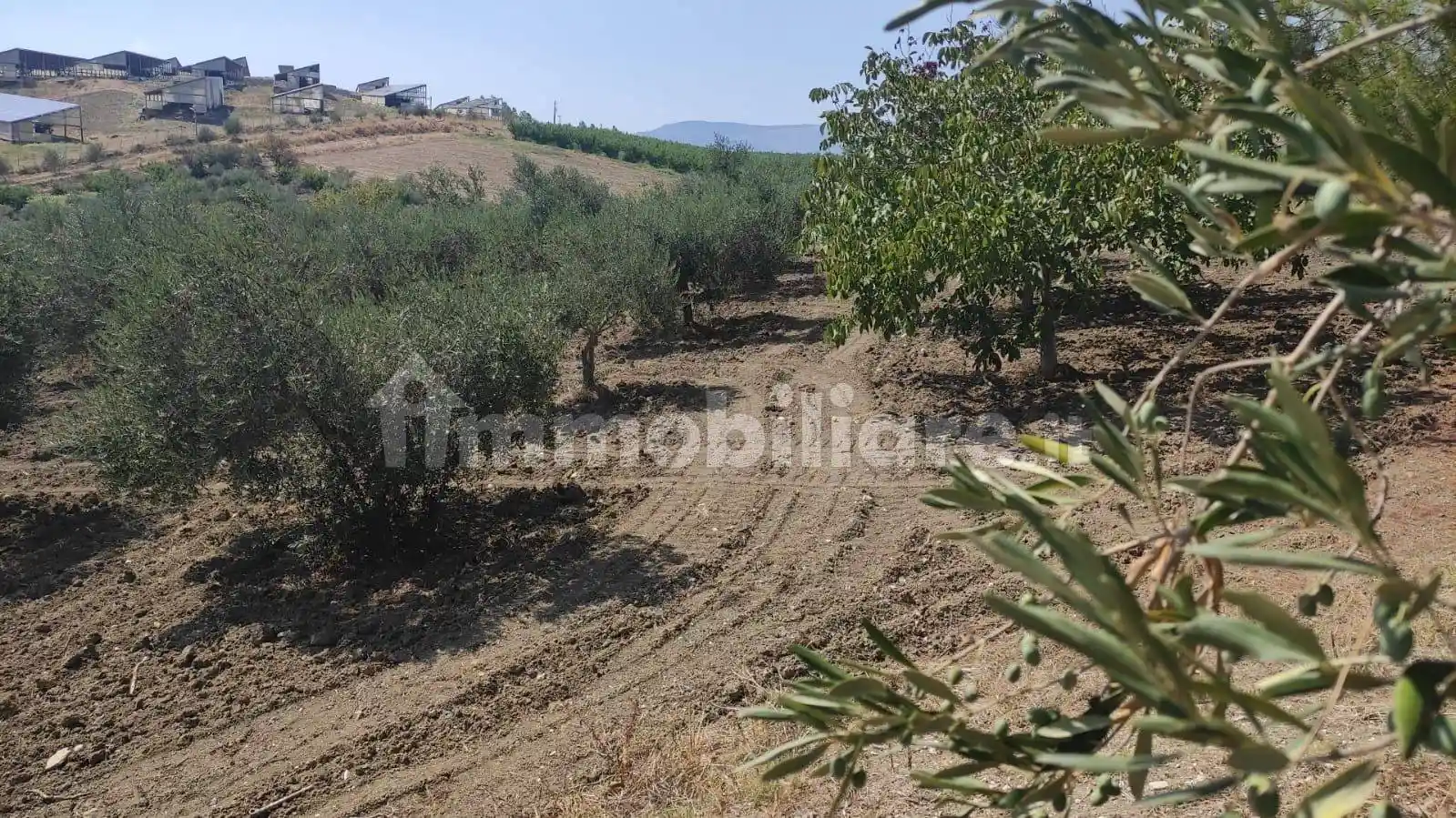 Casale Sp34, Bivona - foto 3