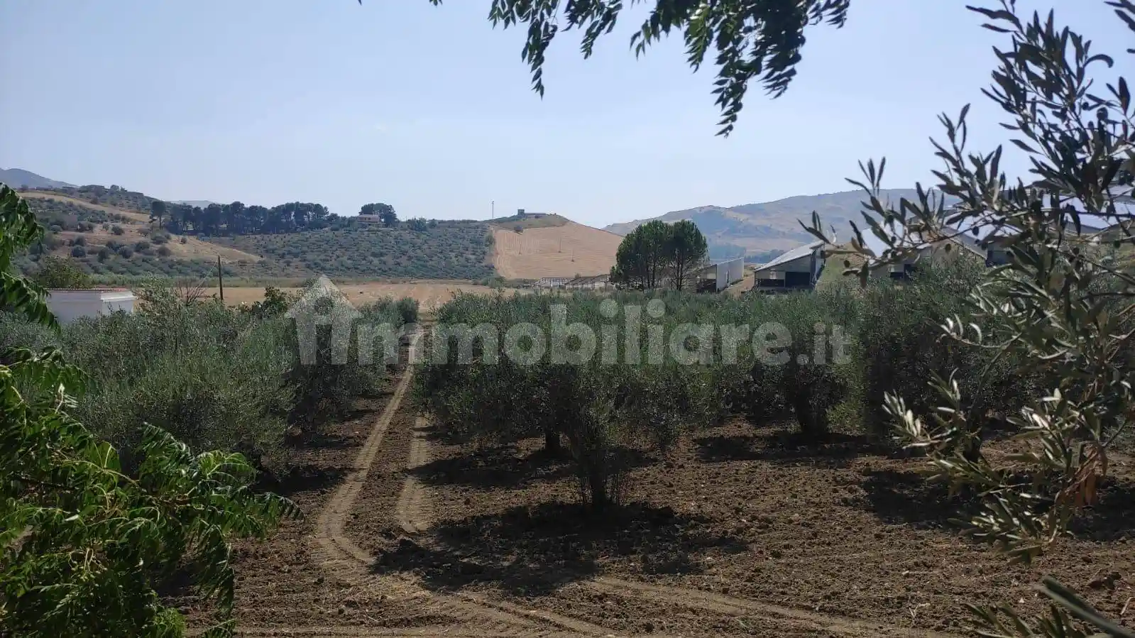 Casale Sp34, Bivona - foto 5