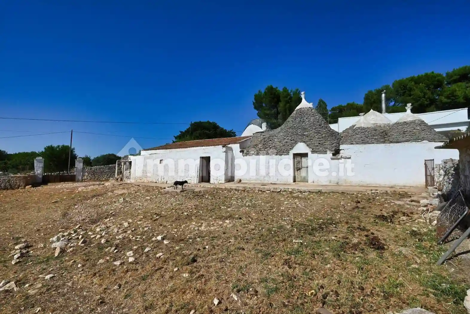 Rustico - Casale - foto 4