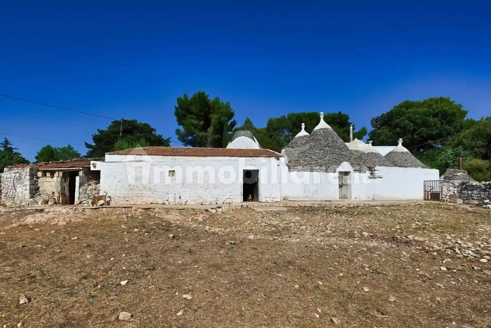 Rustico - Casale - foto 5