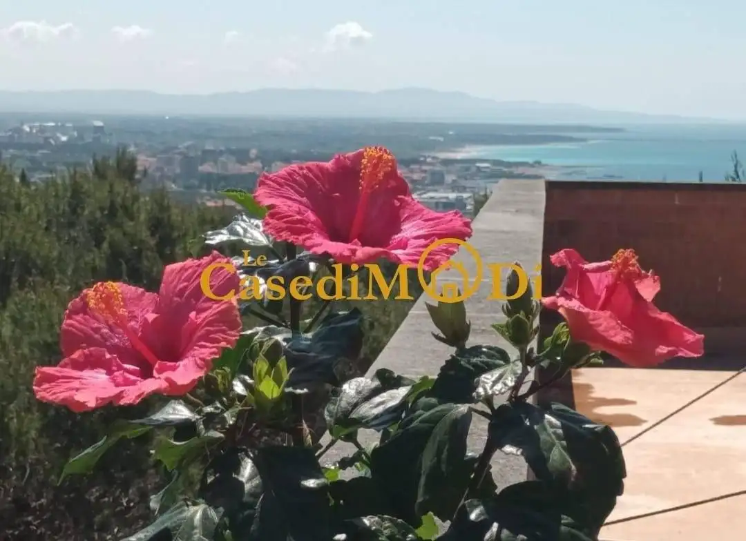 Appartamento in affitto a Rosignano Marittimo