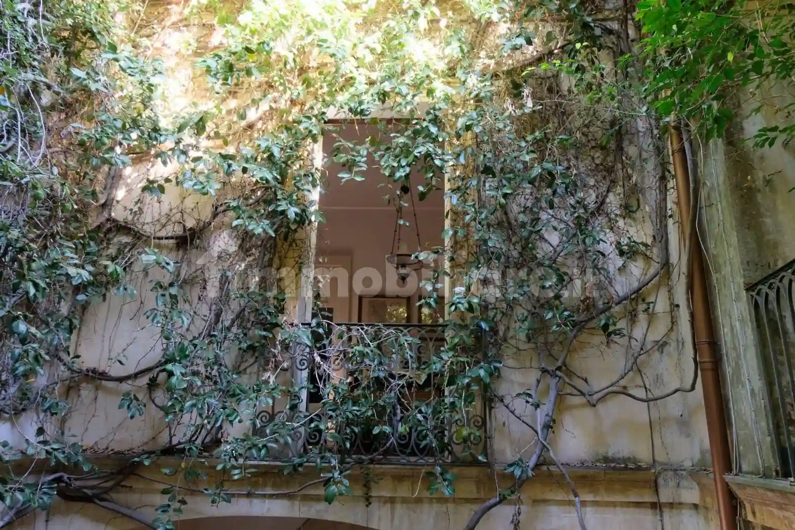 Palazzo - Edificio - foto 4