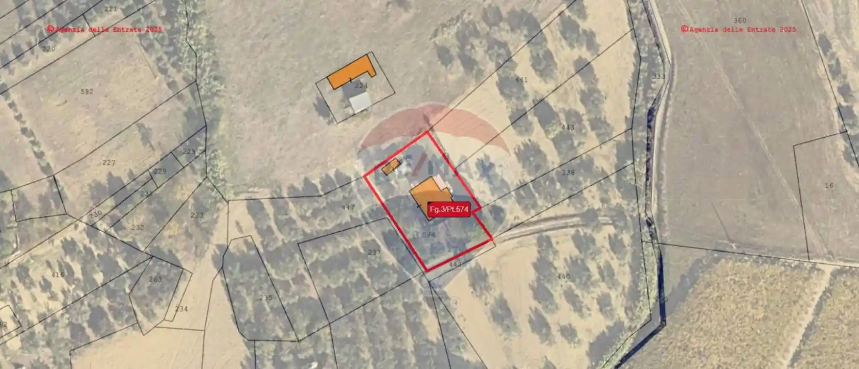 Rustico Contrada Caparrone snc, Collecorvino - foto 2