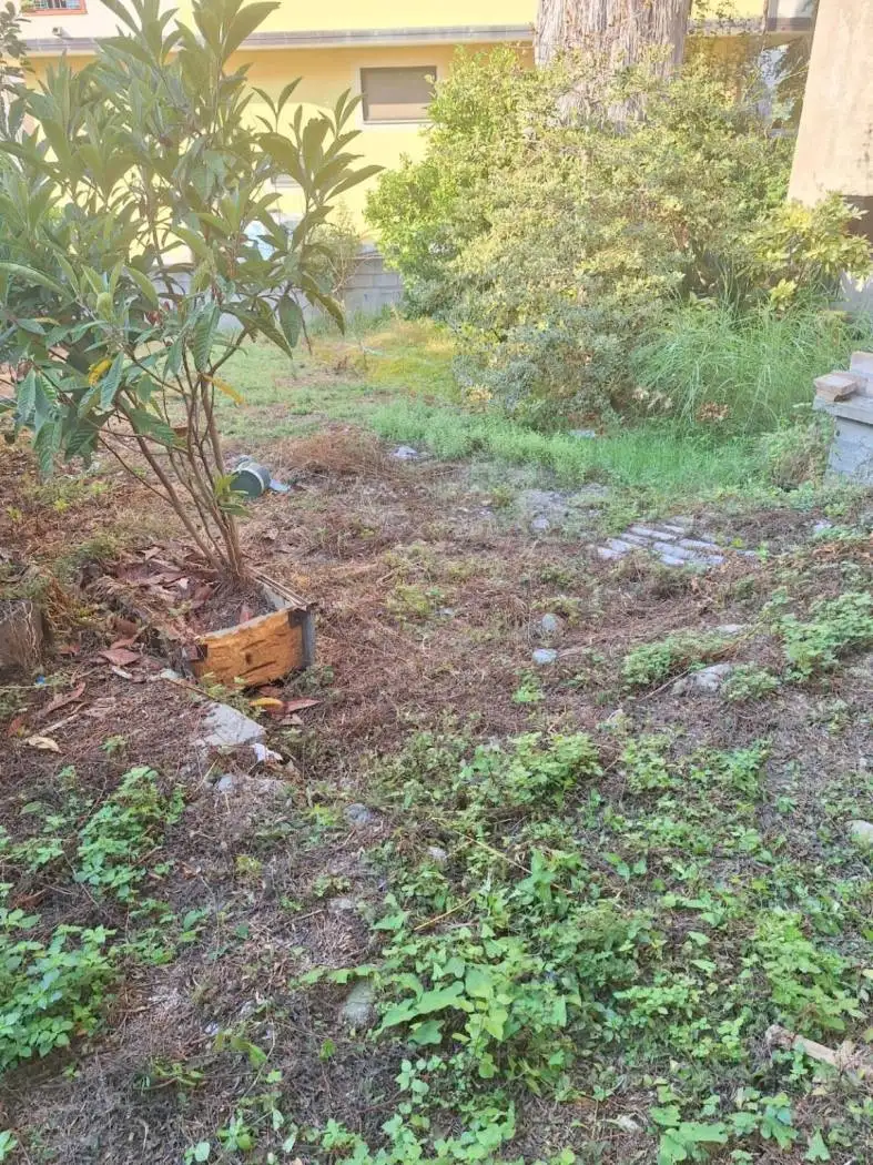 Rustico via Paradisoni, Pannaconi, Cessaniti - foto 5